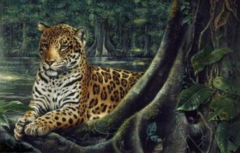 Jaguar By The River | Obraz na stenu