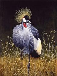 Crowned Crane | Obraz na stenu