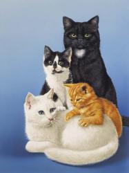 Cat Family | Obraz na stenu