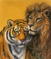 Lion & Tiger | Obraz na stenu