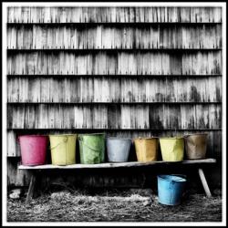 Original Painted Pails | Obraz na stenu