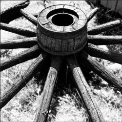 Wagon Wheel #2 | Obraz na stenu