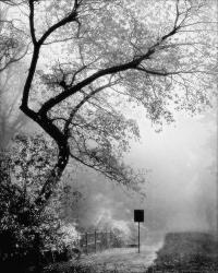 Rolling Fog Down The Road B/W | Obraz na stenu