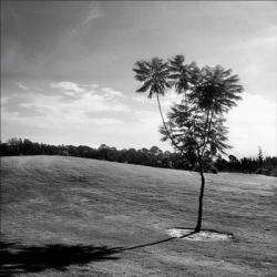 Early Morning Light | Obraz na stenu