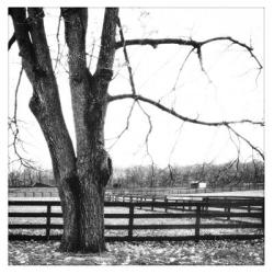 Winter Morning Texture Fence & Field | Obraz na stenu