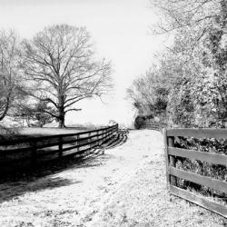 Road To The Farm | Obraz na stenu