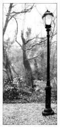 Lampost and Woods | Obraz na stenu