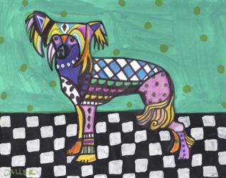 Chinese Crested | Obraz na stenu