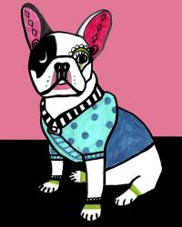 French Bulldog | Obraz na stenu