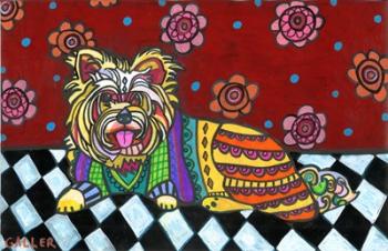 Shihtzu 2 | Obraz na stenu