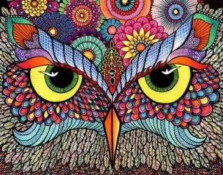 Owl Face | Obraz na stenu