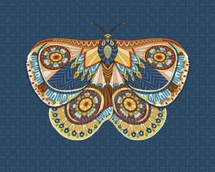 Winter Moth | Obraz na stenu