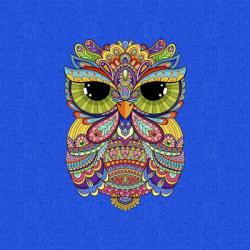 Charming Charlie Owl | Obraz na stenu