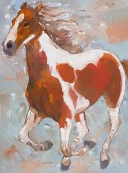 Painted Horse | Obraz na stenu