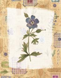 Blue Flower | Obraz na stenu