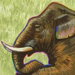 Elephant Pop Profile | Obraz na stenu
