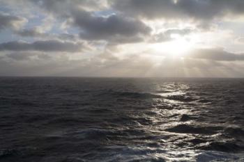 Morning On The North Sea | Obraz na stenu