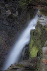 Plotters Kill Preserve Falls | Obraz na stenu