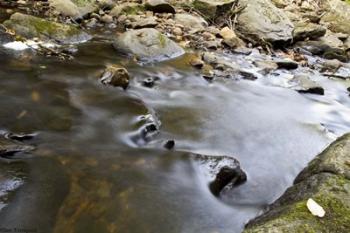 Water Wrapped | Obraz na stenu