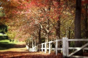 Autumn Moods | Obraz na stenu