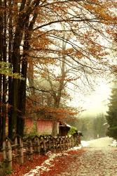 Street Of Seasons | Obraz na stenu
