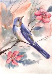 Watercolor Bird | Obraz na stenu