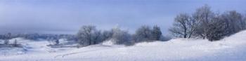 Panorama Winter Dunes | Obraz na stenu