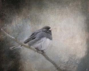 By Winter's Light | Obraz na stenu