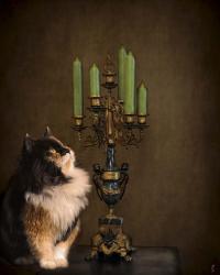 Cat And The Candelabra | Obraz na stenu