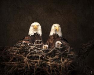 Family Is Forever Bald Eagles | Obraz na stenu