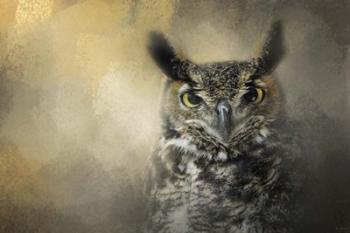 Golden Eyes Great Horned Owl | Obraz na stenu