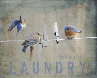 Laundry Day Bluebirds | Obraz na stenu