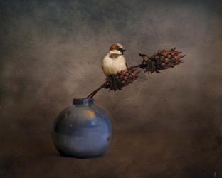 Little Sparrow Friend | Obraz na stenu