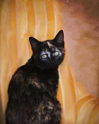 Royal Kitten | Obraz na stenu