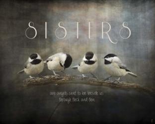 Sisters Chickadees | Obraz na stenu