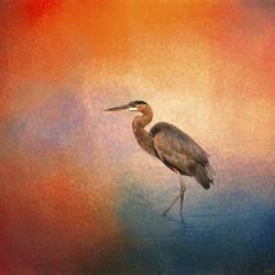 Sunset Heron | Obraz na stenu