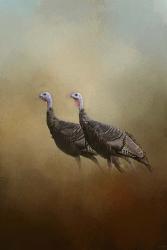 Wild Turkey At Shiloh | Obraz na stenu