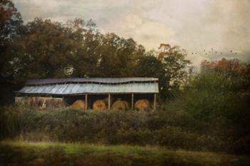 A Barn For The Hay | Obraz na stenu