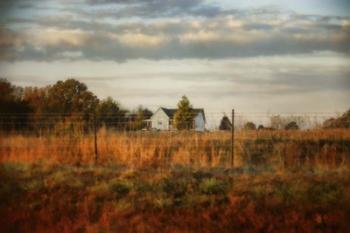 Breakfast At The Farm House | Obraz na stenu