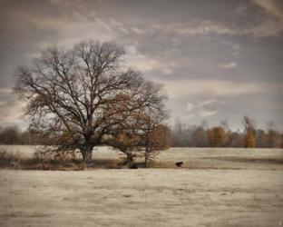 Lazy Autumn Day | Obraz na stenu