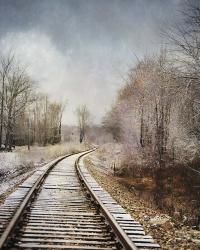Snow On The Tracks | Obraz na stenu