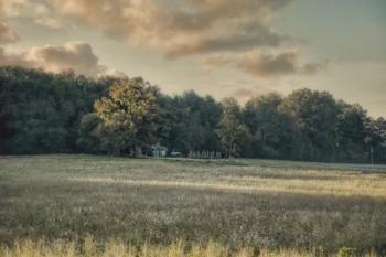 The Old Farm At Sunrise | Obraz na stenu