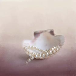 Pearls On A Shell | Obraz na stenu