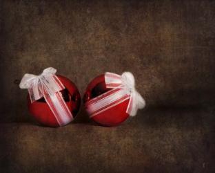 Two Red Ornaments Still Life | Obraz na stenu