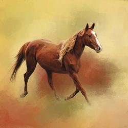 A Dash Of Chestnut Mare | Obraz na stenu