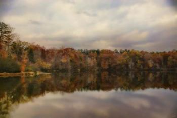 Autumn At Lake LaJoie 1 | Obraz na stenu