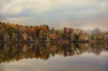 Autumn At Lake LaJoie 2 | Obraz na stenu