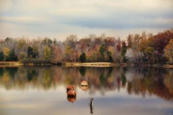 Autumn At Lake LaJoie 3 | Obraz na stenu