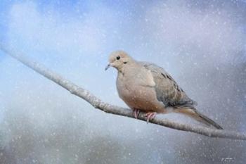 Dove In The Snow | Obraz na stenu