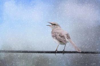 Mockingbird In The Snow | Obraz na stenu